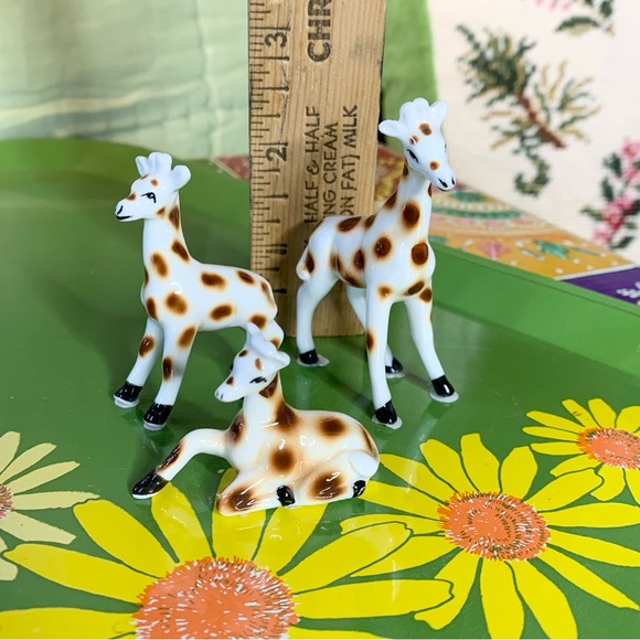 Miniature Giraffe Trio - Picture 5 of 5